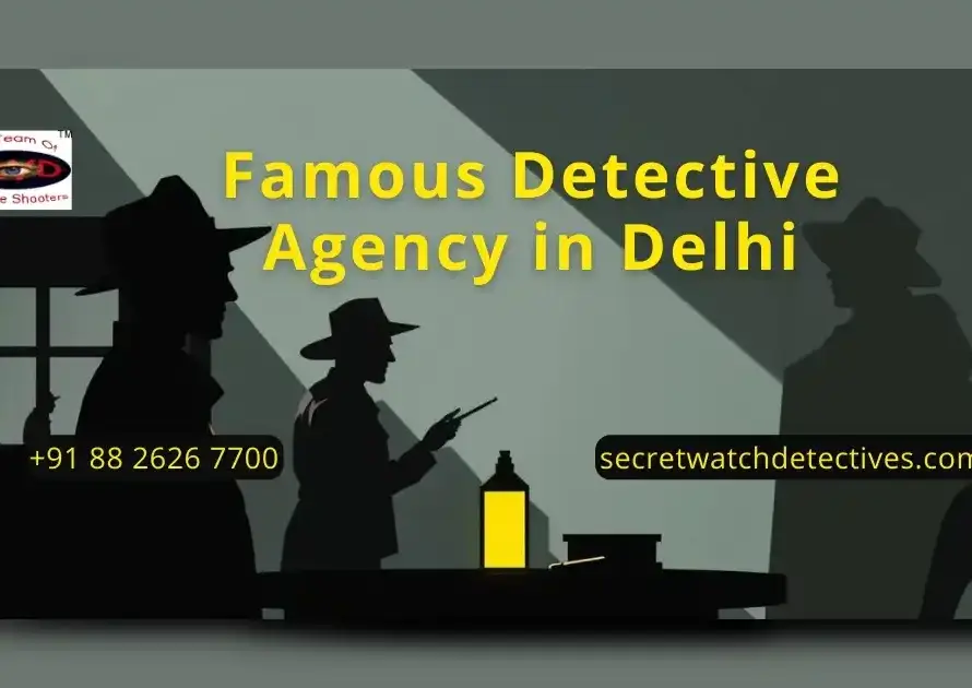 Famous Detective Agency in Delhi