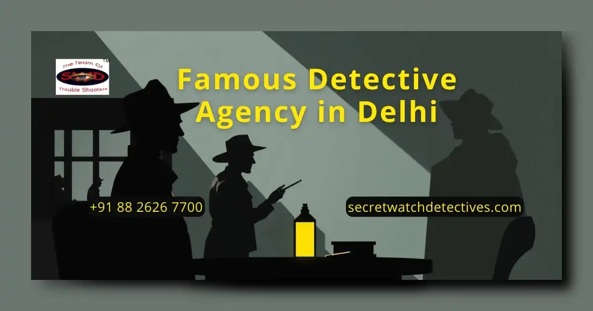 Famous Detective Agency in Delhi